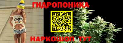 Альфа ПВП Ливны