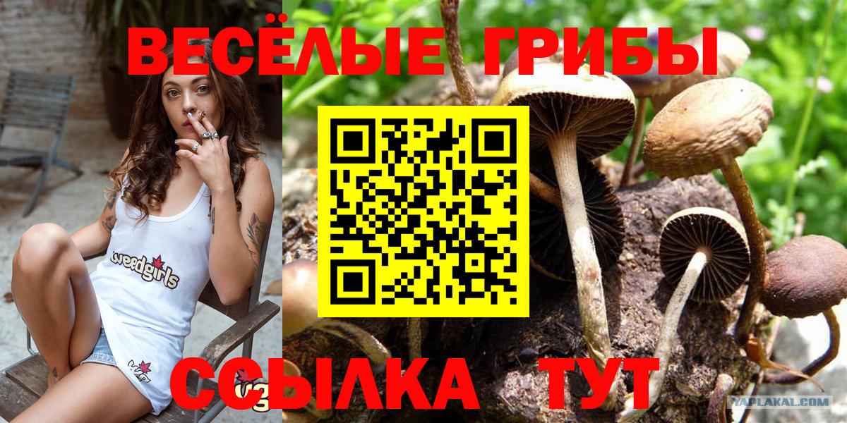 Псилоцибиновые грибы Magic Shrooms Чита