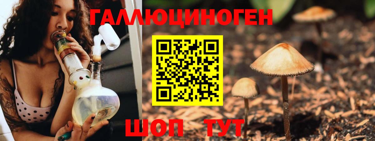 Галлюциногенные грибы Magic Shrooms  Вход с VPN  Чита 